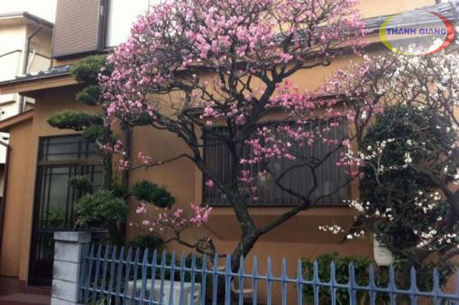 qu&ecirc;n đ&oacute;ng cửa tại nhật