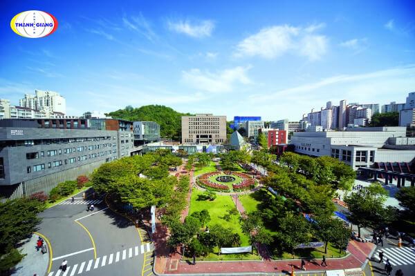 Chương trình đào tạo Đại học Soongsil