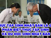 Thực tập sinh Nhật Bản là gì? Phân biệt thực tập sinh và du học sinh Nhật Bản
