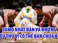 Sumo Nhật Bản và những điều thú vị có thể bạn chưa biết