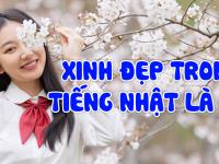 Xinh đẹp tiếng nhật là gì? Cách khen crush dễ thương bằng tiếng Nhật