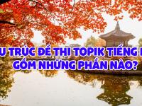 Cấu trúc đề thi Topik tiếng Hàn GỒM NHỮNG PHẦN NÀO?