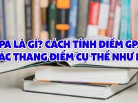 GPA là gì? Cách tính điểm GPA và các thang điểm cụ thể như nào?