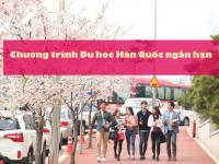 HIỂU ĐÚNG chương trình du học Hàn Quốc ngắn hạn