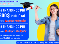 Hướng đi nào cho những bạn trượt COE kỳ tháng 10/2020?