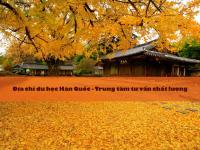 Địa chỉ du học Hàn Quốc uy tín – List trung tâm tư vấn chất lượng
