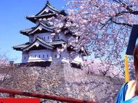 Du học Nhật Bản miễn phí thực tế là gì?