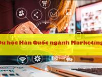 Du học Hàn Quốc ngành Marketing có gì đặc biệt?