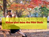 Mùa thu Hàn Quốc và TOP những địa điểm du lịch lý tưởng