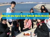 GIẢI ĐÁP thắc mắc: Nên đi du học hay xuất khẩu Hàn Quốc?