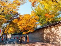 Thời tiết Seoul bốn mùa như thế nào? – Khám phá Hàn Quốc
