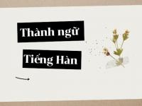Thành ngữ tiếng Hàn - TOP 150 + được sử dụng PHỔ BIẾN NHẤT trong đời sống