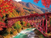 Toyama Nhật Bản - vùng đất lý tưởng để khám phá và trải nghiệm