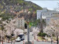 Changshin - Changshin University (CSU) – Điểm đến hấp dẫn du học sinh quốc tế