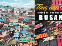 Busan Hàn Quốc -  DANH SÁCH trường đại học tại Busan - Du học Thanh Giang