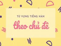 Từ vựng tiếng Hàn theo chủ đề thông dụng – TOP từ được dùng phổ biến nhất Từ vựng tiếng Hàn theo chủ đề thông dụng – TOP từ được dùng phổ biến nhất