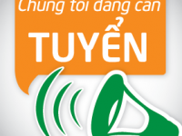 Tuyển dụng nhân viên phòng hồ sơ, visa Tiếng Anh
