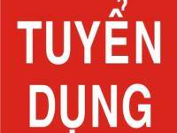 CẦN TUYỂN GẤP NHÂN SỰ CHO CÔNG TY NHẬT