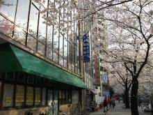 Trường Nhật ngữ Waseda Edu Japanese 