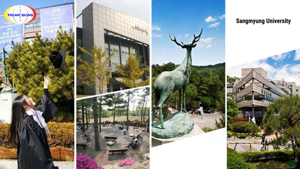 Chương trình Học bổng - Học phí đại học sangmyung
