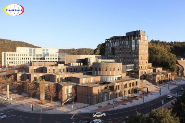 Tìm hiểu chung về Daejeon University