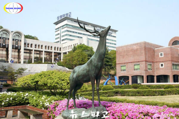 Một số đặc điểm nổi bật của trường Đại học Sangmyung
