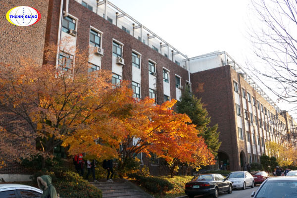 Một số đặc điểm nổi bật của Soonchunhyang university Một số đặc điểm nổi bật của Soonchunhyang university