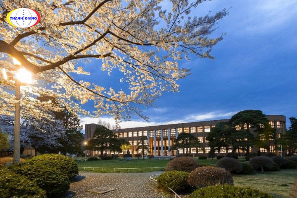 Học phí trường đại học Tohoku