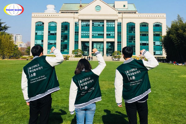 Chương trình đào tạo của trường Đại học Ulsan