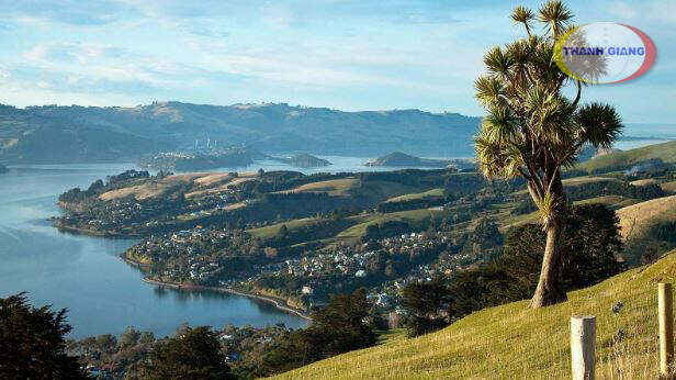 visa du học newzealand