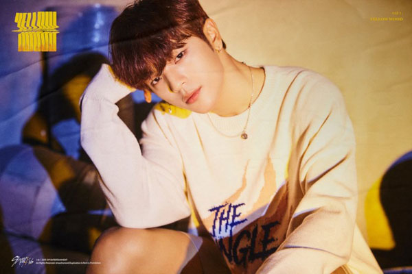 Thông Tin Stray Kid - Stray Kids Profile Các Thành Viên Từ A-Z