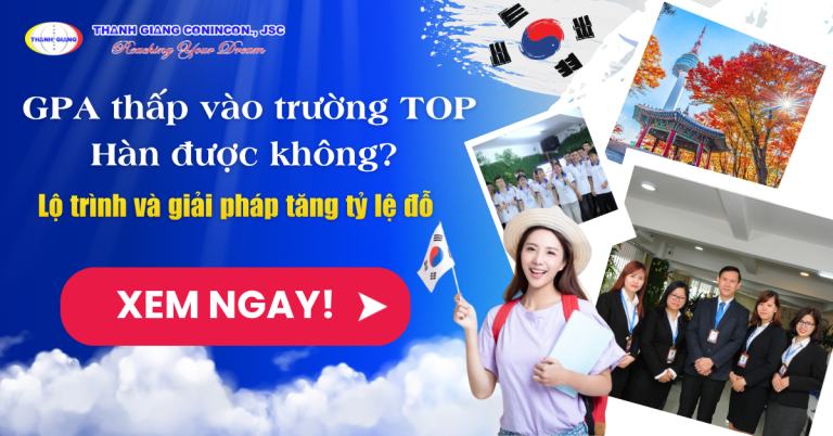 GPA thấp vào trường TOP Hàn được không? Lộ trình và giải pháp tăng tỷ lệ đỗ 