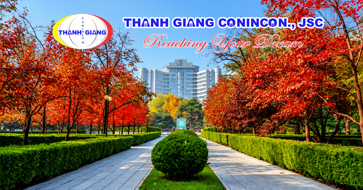 Con đường rợp lá phong đỏ trong khuôn viên Đại học Công nghệ Bắc Kinh