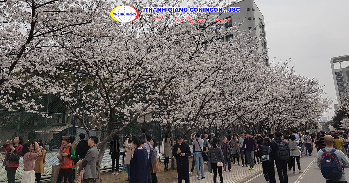 Khuôn viên Đại học Đồng Tế
