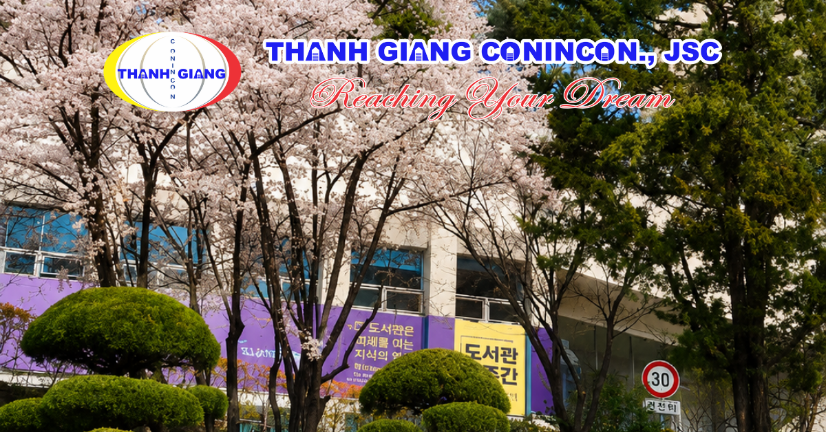 Hoa anh đào nở trong khuôn viên Đại học Nữ Sungshin vào mùa xuân