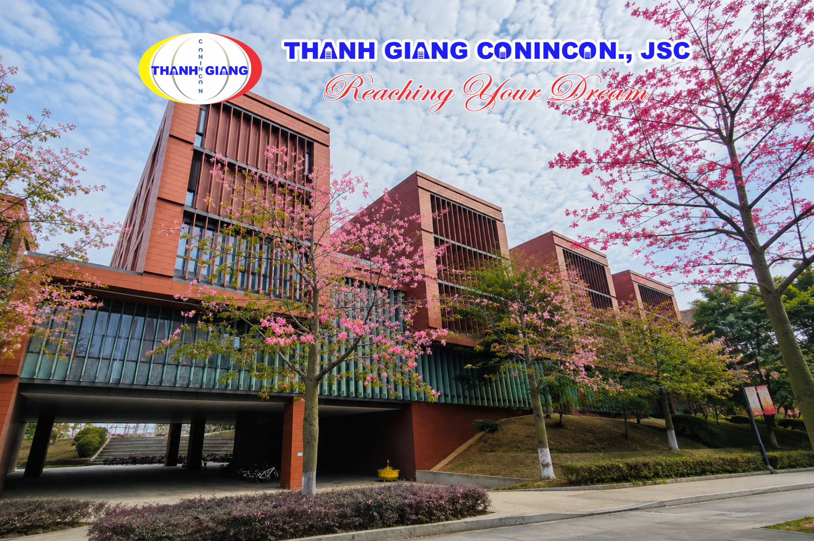 Hoa kèn hồng nở rộ cạnh khu giảng đường tại Đại học Công Nghệ Hoa Nam