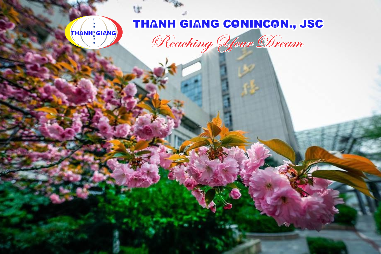 Hoa nở rộ trước tòa nhà trong khuôn viên Đại học Giang Tô