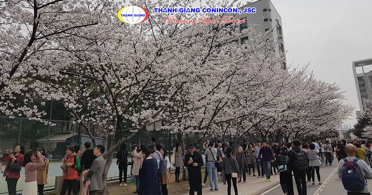 Khuôn viên Đại học Đồng Tế
