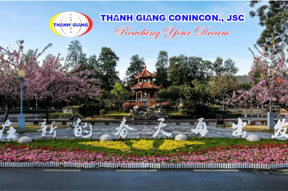 Hoa xuân nở rộ bên đình cổ trong khuôn viên Đại học Tứ Xuyên