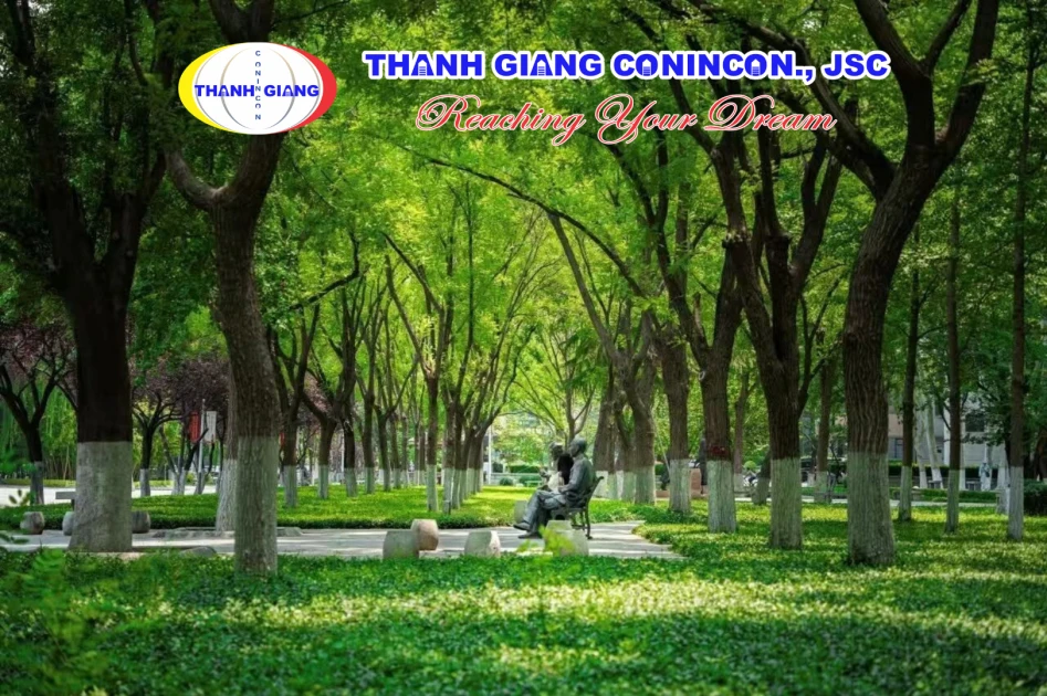 Tượng đồng học giả và con đường cây xanh tại Đại học Sơn Đông
